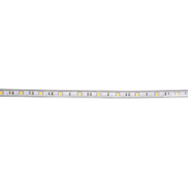Ecola LED strip 220V STD  4,8W/m IP68 10x6 60Led/m Red красная лента 100м.