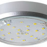 Ecola GX53 5356 Накладной Легкий Серебро (светильник) 18x95