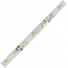 Ecola LED strip PRO  4,8W/m 12V IP20   8mm  60Led/m 6000K 6Lm/LED 360Lm/m светодиодная лента на катушке  5м.
