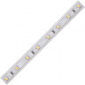 Ecola LED strip 220V STD  4,8W/m IP68 12x7 60Led/m 2800K 4Lm/LED 240Lm/m лента  50м.