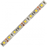 Ecola LED strip PRO 14.4W/m 12V IP65 10mm 60Led/m 4200K 18Lm/LED 1080Lm/m светодиодная лента на катушке  5м.