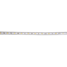 Ecola LED strip 220V STD 14,4W/m IP68 14x7 60Led/m 6000K 12Lm/LED 720Lm/m лента  10м.